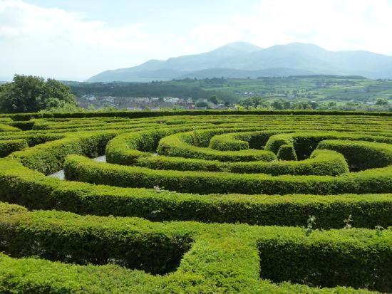 Loughview Retreat In The Mournes